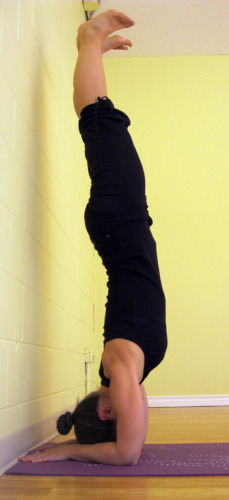 Kenzie- in full forearm balance