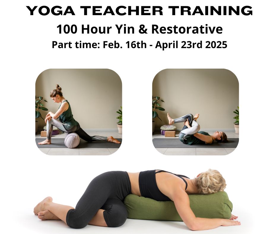 Yoga Teacher Training at Rasa Flow Yoga