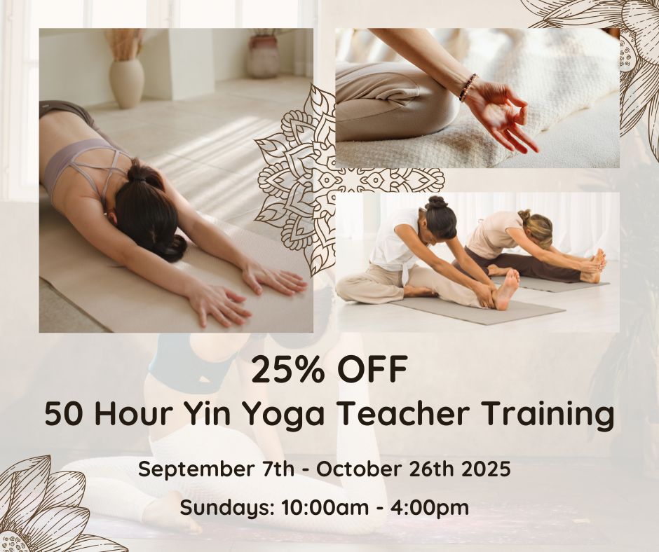 Yin Yoga Teacher Training at Rasa Flow Yoga